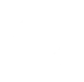 github skill